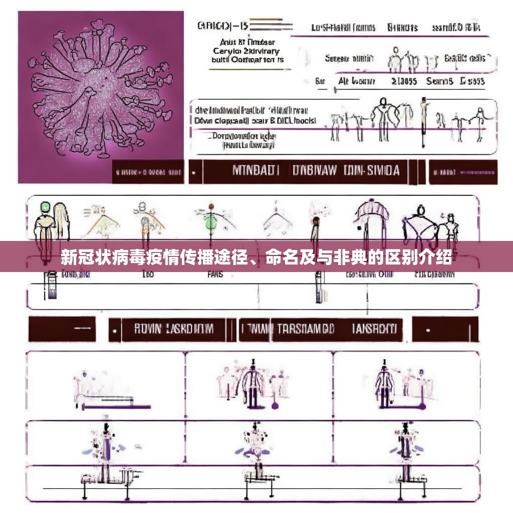 新冠状病毒疫情传播途径、命名及与非典的区别介绍
