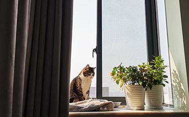 疫情防控中的法律问题：医疗机构和疾控机构的措施有哪些