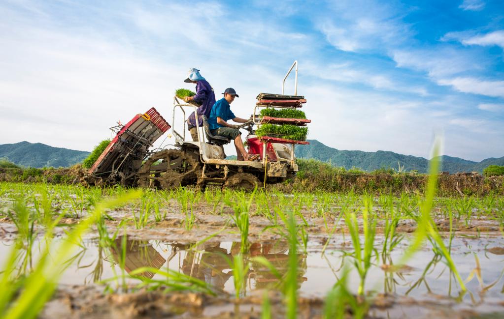 疫情多发给农业生产带来挑战，农业农村部回应相关问题