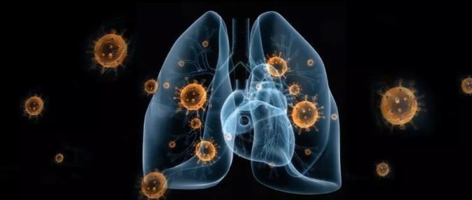 华山感染张文宏解读疫情动态，对比历史上超级疫情对决