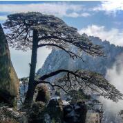 合肥肥西督导重点场所疫情防控，部分酒店因措施落实不力被处罚