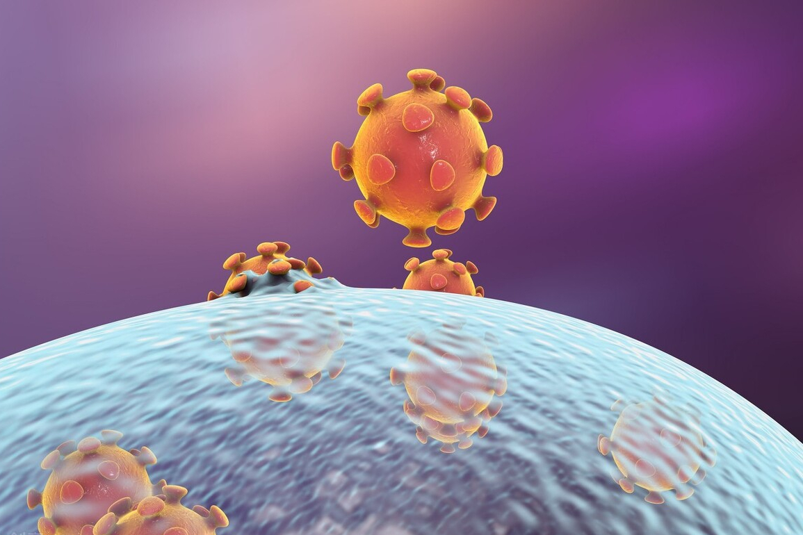 11月2日新增确诊病例情况及张文宏谈疫情高危运行期