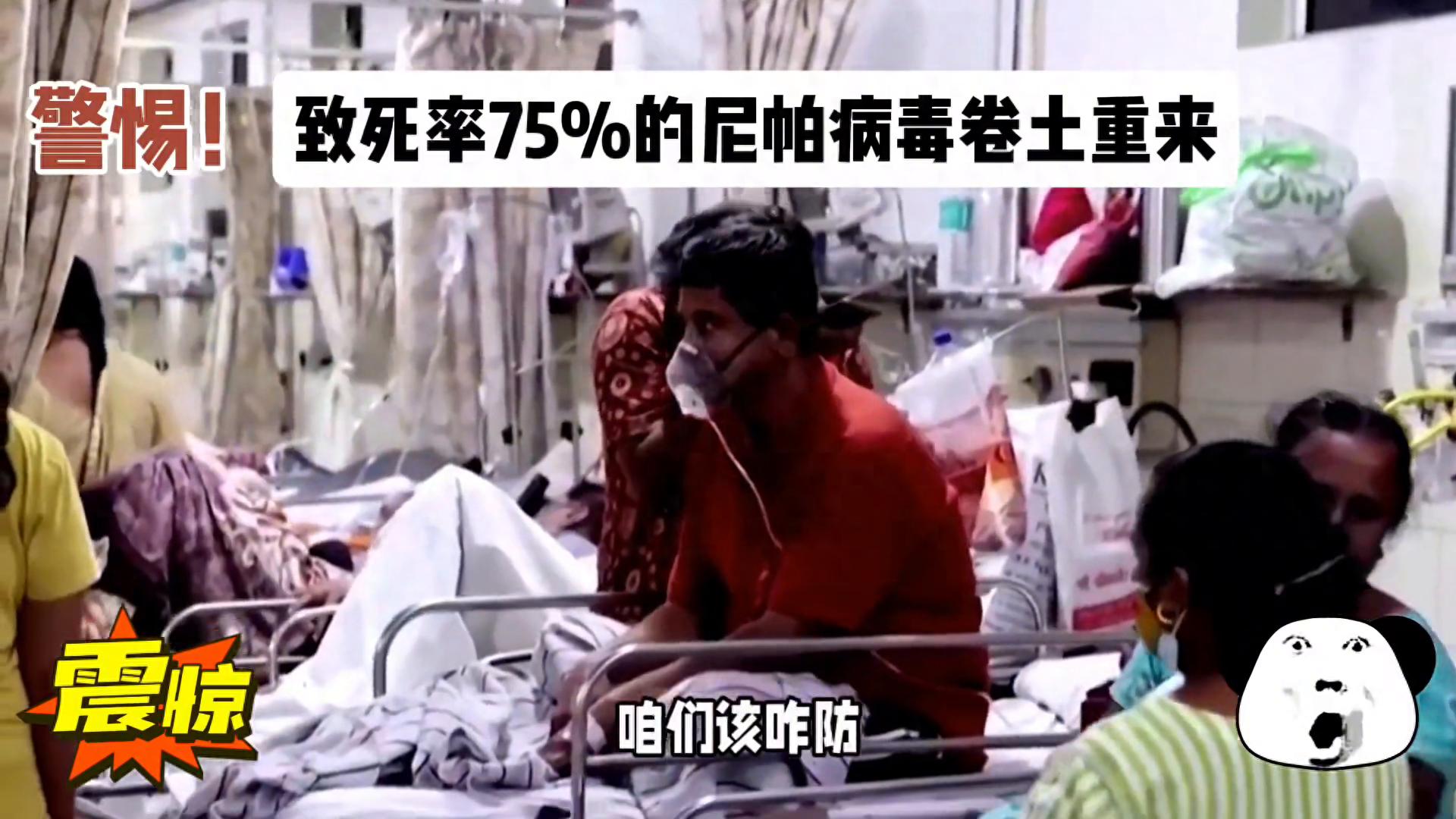 印度致命尼帕病毒卷土重来，病死率超新冠，我国需警惕