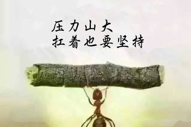 基层医疗机构疫情防控案例:违规售药接诊及疫情症状相关处理