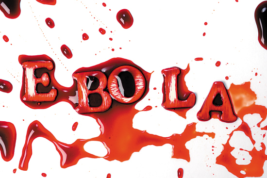 世界卫生组织紧急商讨西非埃博拉疫情危机，结果何时公布？