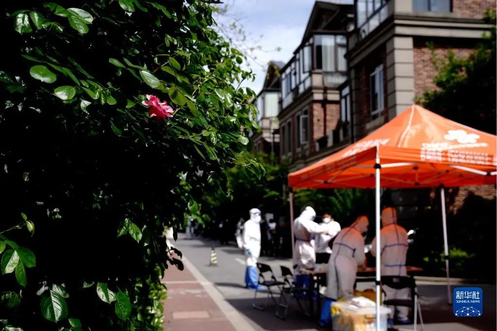 全球疫情高位流行，坚持动态清零才能避免疫情失控致巨大损失