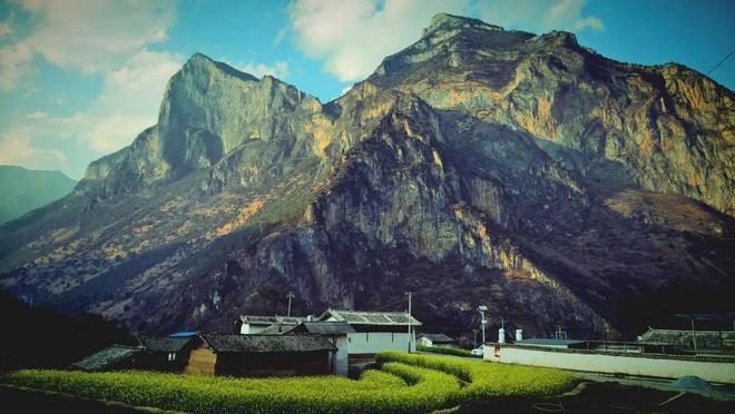 疫情政策放开后变化不断，新冠更名，另一危机却悄然来临