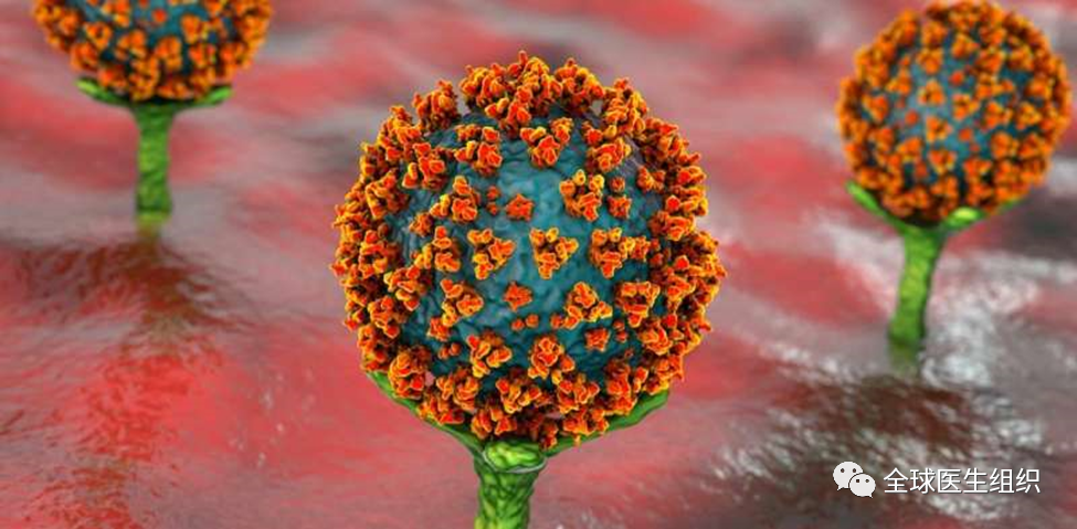 北京疫情海啸式爆发后反思：病毒究竟如何传播的？