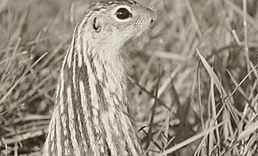 回顾百年前抗疫现场,看近代中国疫情历史中的那些瞬间