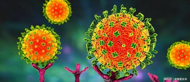 尼帕病毒是什么?人际传播能力强,病死率远超新冠流感