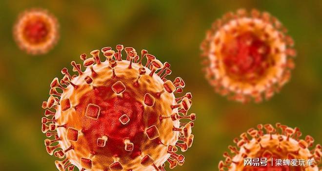 尼帕病毒是什么?人际传播能力强,病死率远超新冠流感