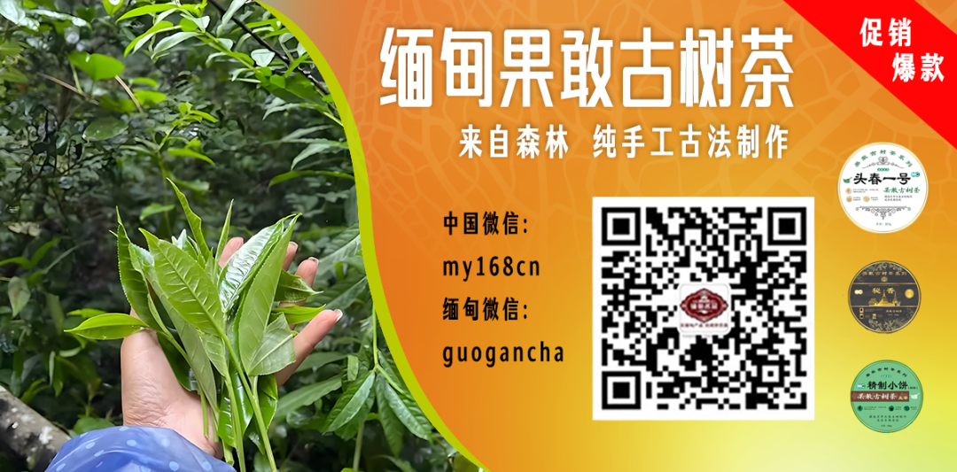 越南卫生部：“尼帕病毒有可能引发全球大流行”