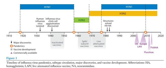 如何评价流感疫苗的保护效果?今年如何接种流感疫苗?