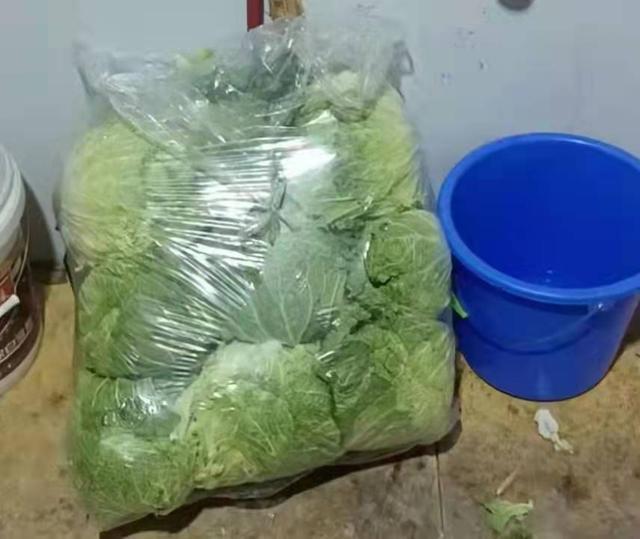 疫情下西安外来务工者吃饭难、无收入,多方力量来救助