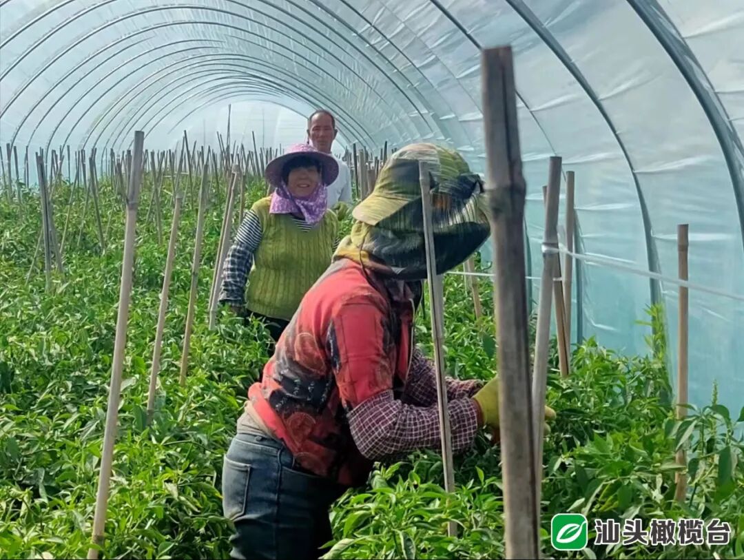 汕头召开疫情防控工作电视电话会议 市领导出席