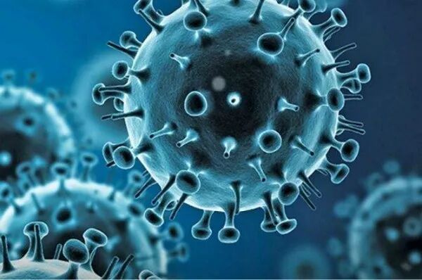 疫情暴发还是爆发?专家解读:这次用爆发更准确