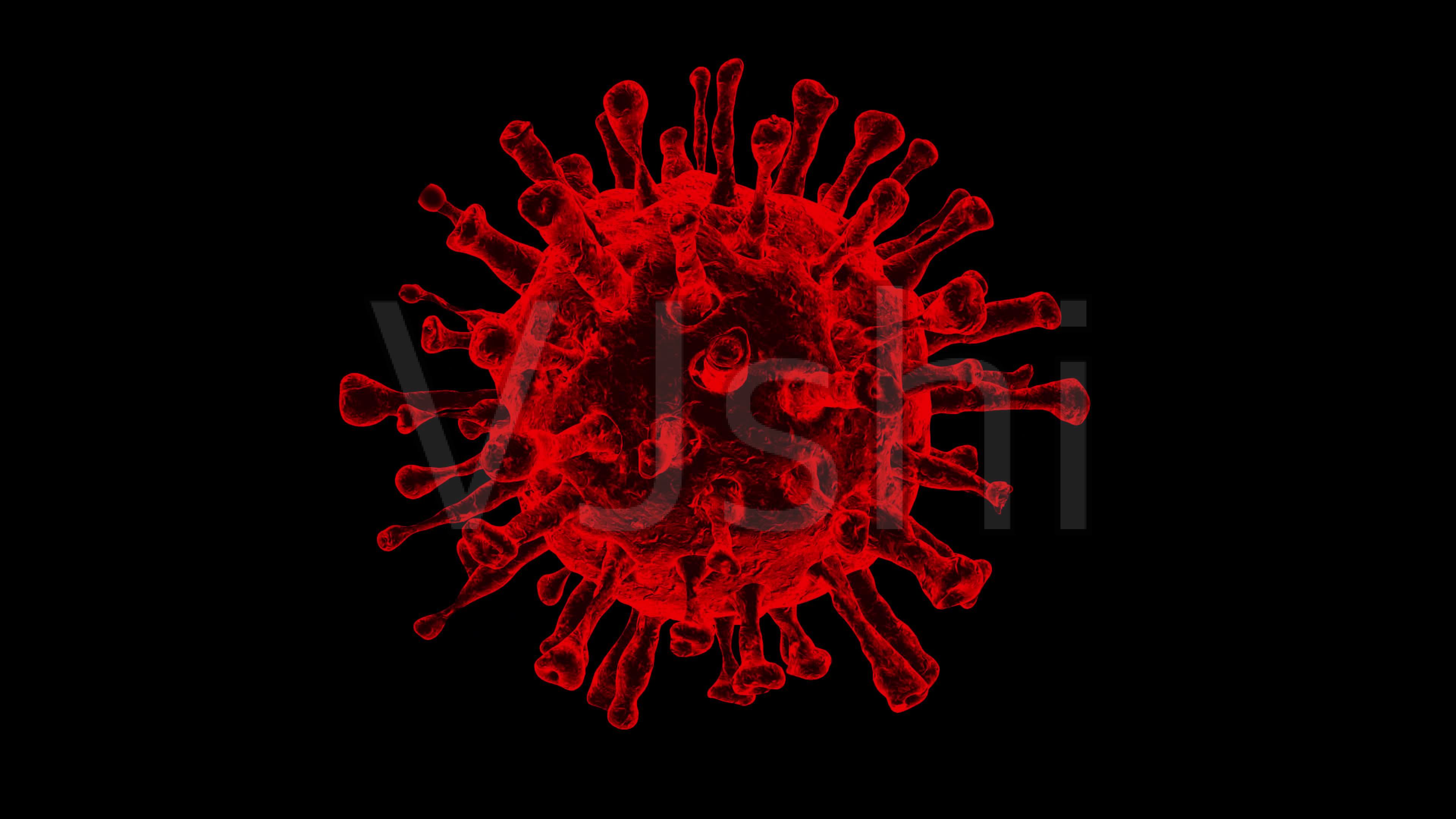 疫情下的春节，各行业受影响几何？先抑后扬还是持续低迷？