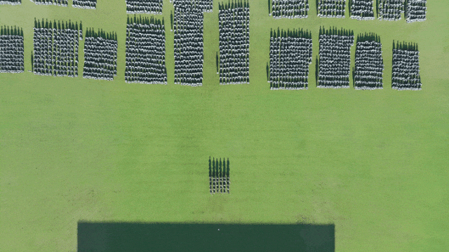 2024年大学军训全攻略:时间地点、物资准备与精彩内容